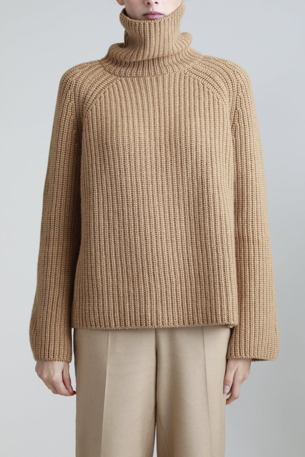 Chunky Cashmere Camel Roll Neck Jumper