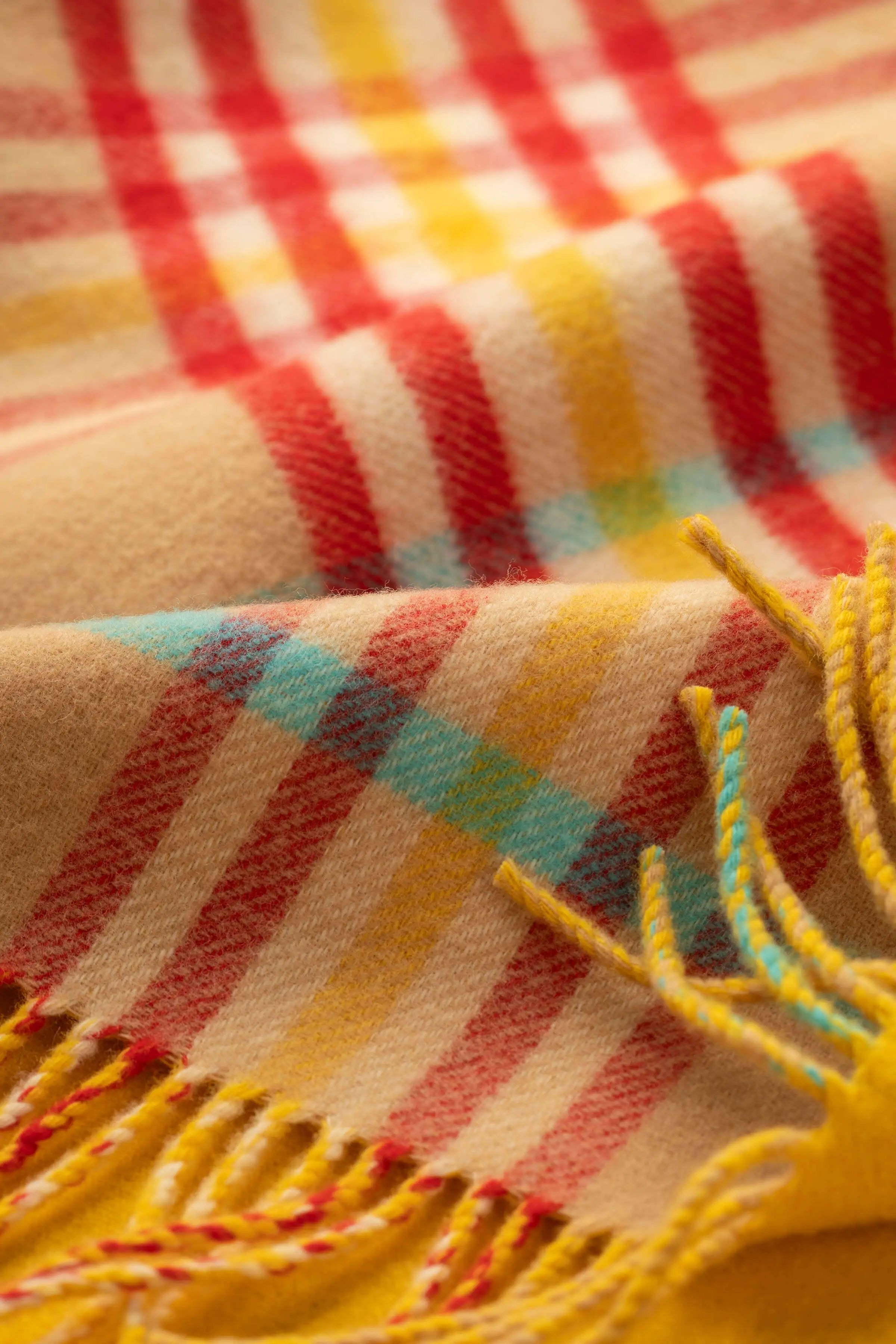 Vibrant Reversible Lambswool Throw in Check & Windowpane